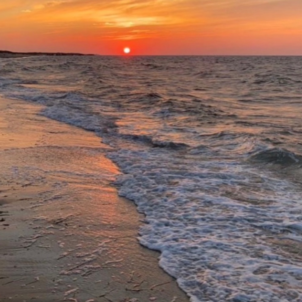 Meet your Posher, Tessa